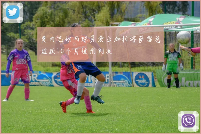 费内巴切两球员袭击加拉塔萨雷总监获16个月缓刑判决